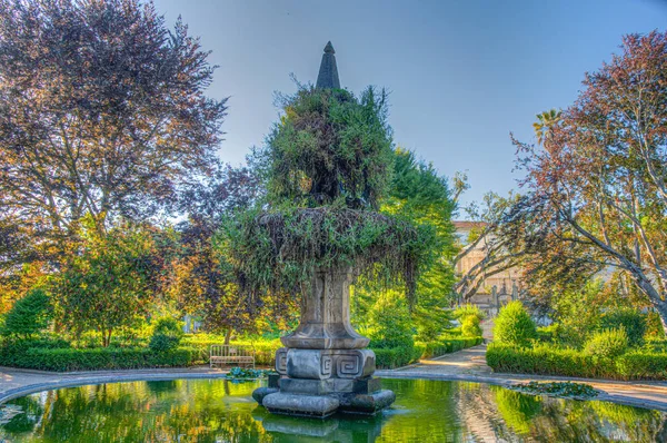 コインブラ大学の植物園の緑の葉i — ストック写真