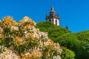 Portekiz 'deki Bahçeler ve Mateus Evi