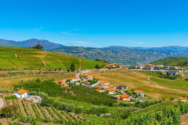Portekiz 'de Douro Vadisi yamaçlarındaki üzüm bağları ve köyler