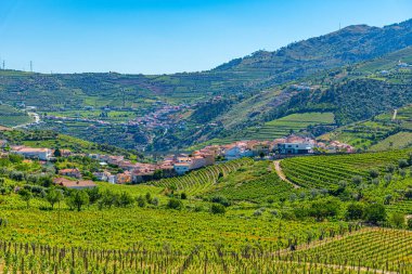 Portekiz 'de Douro Vadisi yamaçlarındaki üzüm bağları ve köyler