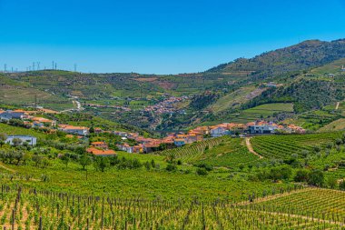 Portekiz 'de Douro Vadisi yamaçlarındaki üzüm bağları ve köyler