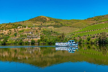 Douro nehri kıyısındaki bir yolcu gemisi bağların arasından geçiyor, Porto.