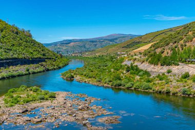 Portekiz 'de nehir kenarındaki üzüm bağları.
