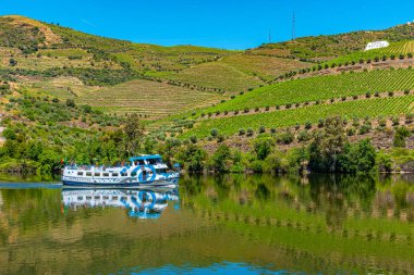 Douro nehri kıyısındaki bir yolcu gemisi bağların arasından geçiyor, Porto.