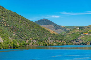 Portekiz 'de nehir kenarındaki üzüm bağları.