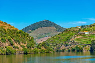 Portekiz 'de nehir kenarındaki üzüm bağları.