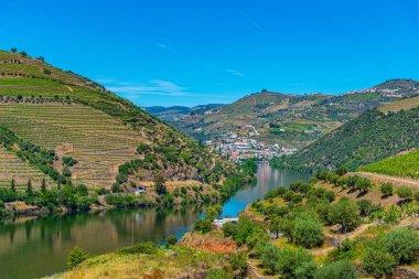 Portekiz 'de nehir kenarındaki üzüm bağları.