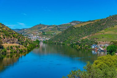 Portekiz 'de nehir kenarındaki üzüm bağları.