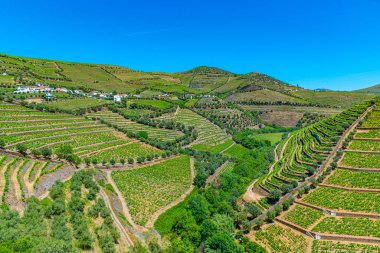Portekiz 'de Douro Vadisi yamaçlarındaki üzüm bağları ve köyler