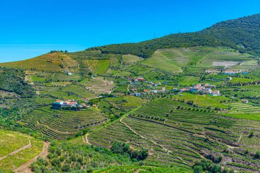 Portekiz 'de Douro Vadisi yamaçlarındaki üzüm bağları ve köyler