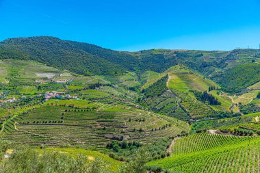Portekiz 'de Douro Vadisi yamaçlarındaki üzüm bağları ve köyler