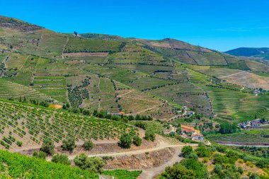 Portekiz 'de Douro Vadisi yamaçlarındaki üzüm bağları ve köyler
