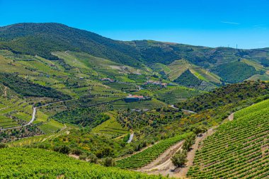 Portekiz 'de Douro Vadisi yamaçlarındaki üzüm bağları ve köyler