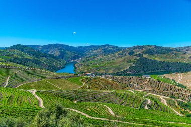 Portekiz 'de Douro Vadisi yamaçlarındaki üzüm bağları ve köyler