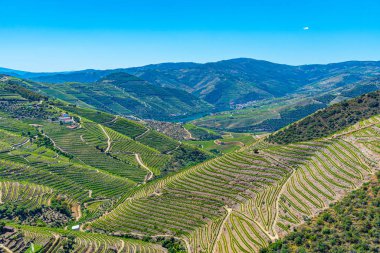 Portekiz 'de Douro Vadisi yamaçlarındaki üzüm bağları ve köyler