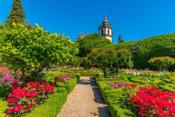 Сади і маєтки Casa de Mateus в Португалії. — стокове фото