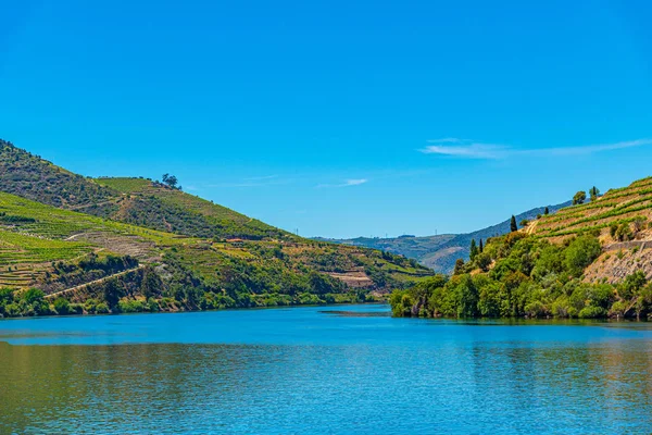 Vineyards alongside river douro in Portugal — Stockfoto
