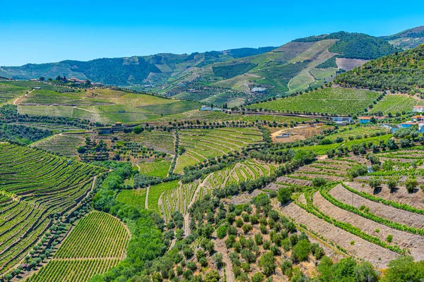 Αμπελώνες και χωριά στις πλαγιές της κοιλάδας Douro στην Πορτογαλία — Φωτογραφία Αρχείου
