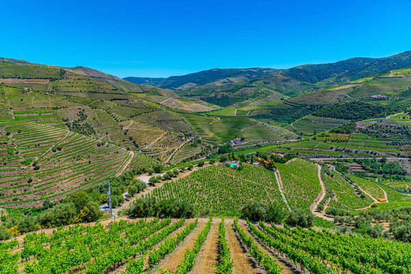 Vineyards and villages at slopes of Douro Valley in Portugal