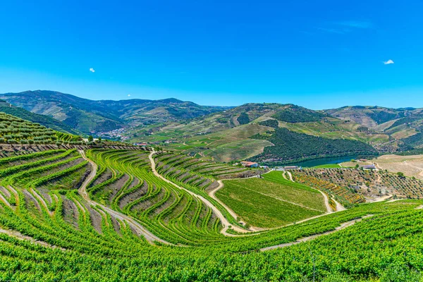Vineyards and villages at slopes of Douro Valley in Portugal — Stockfoto