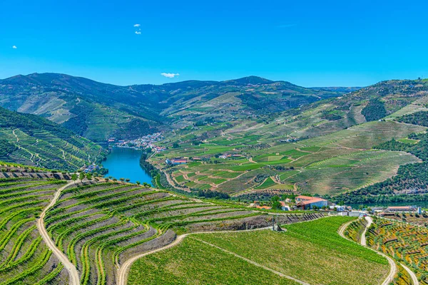 Vineyards and villages at slopes of Douro Valley in Portugal — Stockfoto