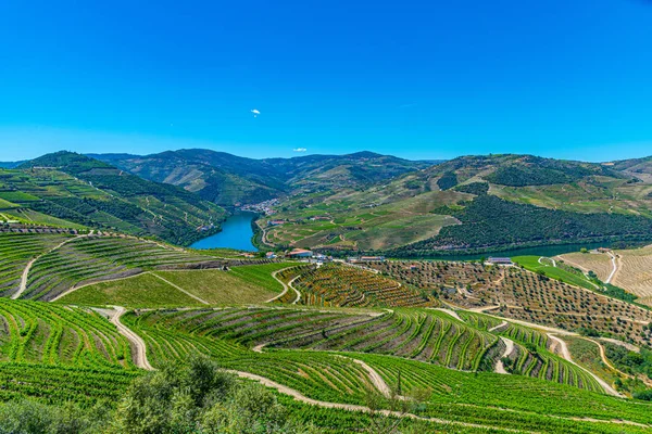 Vineyards and villages at slopes of Douro Valley in Portugal — Stockfoto