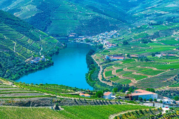 Vineyards and villages at slopes of Douro Valley in Portugal — Stockfoto