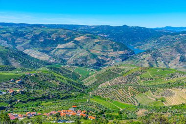 Portekiz 'de Douro Vadisi yamaçlarındaki üzüm bağları ve köyler