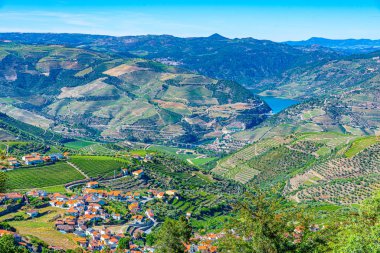 Portekiz 'de Douro Vadisi yamaçlarındaki üzüm bağları ve köyler