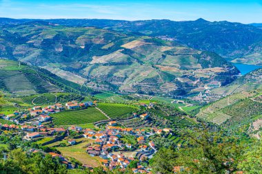 Portekiz 'de Douro Vadisi yamaçlarındaki üzüm bağları ve köyler
