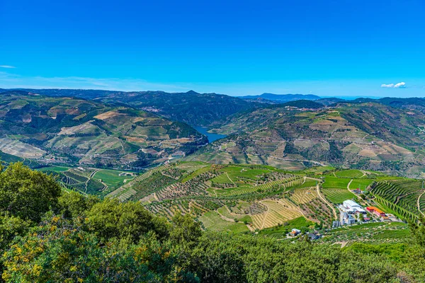 Vineyards and villages at slopes of Douro Valley in Portugal — Stock Photo, Image