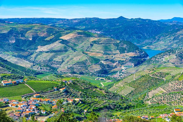 Vineyards and villages at slopes of Douro Valley in Portugal — Stock Photo, Image