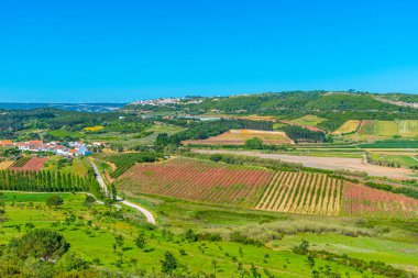 Portekiz Obidos Şatosu yakınlarındaki manzarası