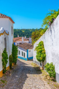 a narrow street inside of the obidos castle in Portugal clipart