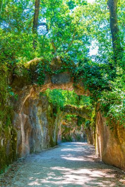 Portekiz, Sintra 'daki Quinta da Regaleira Sarayı' ndaki bahçeler