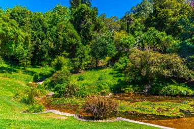 Sintra, Portekiz 'deki Monserrate Sarayı' nın bahçeleri.