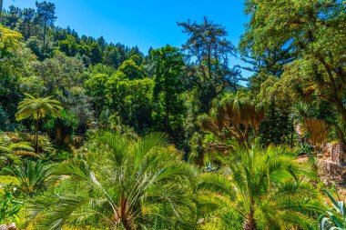 Sintra, Portekiz 'deki Monserrate Sarayı' nın bahçeleri.