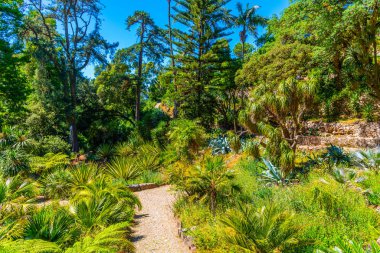 Sintra, Portekiz 'deki Monserrate Sarayı' nın bahçeleri.