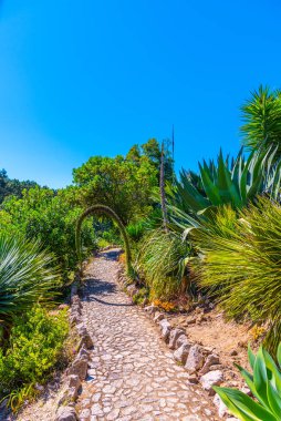 Sintra, Portekiz 'deki Monserrate Sarayı' nın bahçeleri.