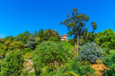 Sintra, Portekiz 'deki Monserrate Sarayı' nın bahçeleri.
