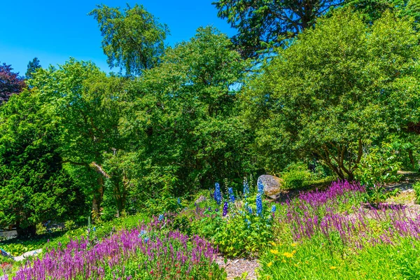 Trädgårdar i nationalpalatset Pena, Sintra, Portugal — Stockfoto