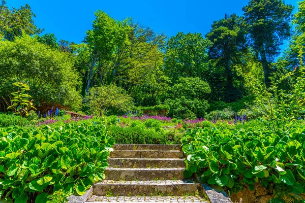 Trädgårdar i nationalpalatset Pena, Sintra, Portugal — Stockfoto