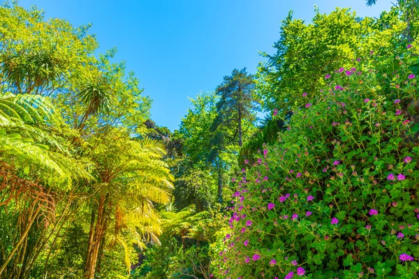 Portekiz, Sintra 'daki Quinta da Regaleira Sarayı' ndaki bahçeler — Stok fotoğraf