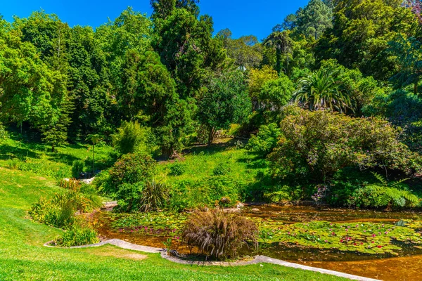 Jardins no recinto do Palácio de Monserrate em Sintra, Portug — Fotografia de Stock