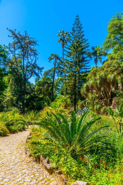 Trädgårdar vid Monserrates palats i Sintra, Portugal — Stockfoto