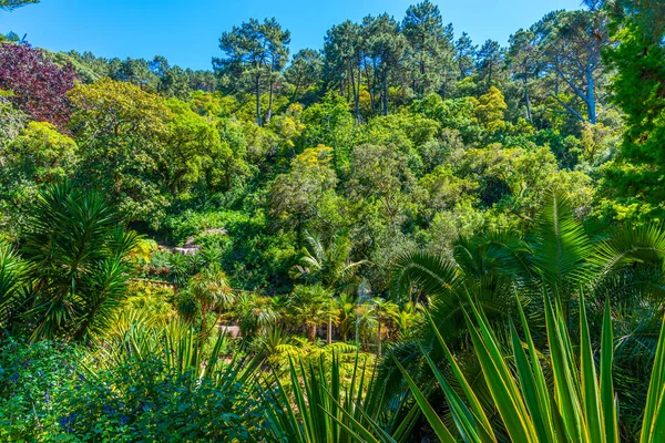 Gärten auf dem Gelände des Palastes von monserrate at sintra, Portugal — Stockfoto