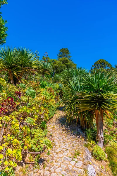 Κήποι στο παλάτι του Monserrate στο Sintra, Πορτογαλία — Φωτογραφία Αρχείου