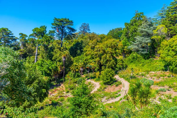 Trädgårdar vid Monserrates palats i Sintra, Portugal — Stockfoto