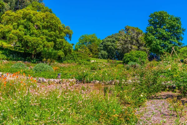 Sintra, Portekiz 'deki Monserrate Sarayı' nın bahçeleri. — Stok fotoğraf