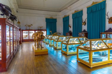 Coimbra, Portekiz, 21 Mayıs 2019: Müzenin Zoolojik bölümü